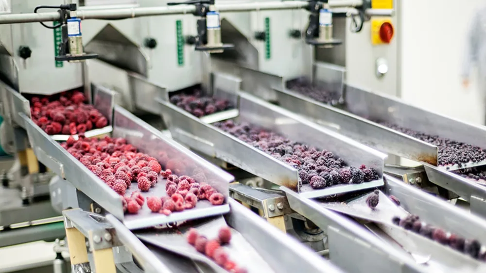 Food freezing, cryogenic freezing tunnel, cryogenic temperatures, freeze tunnel, spiral freezers, gaseous liquid nitrogen, preserving food, cryogenic nitrogen