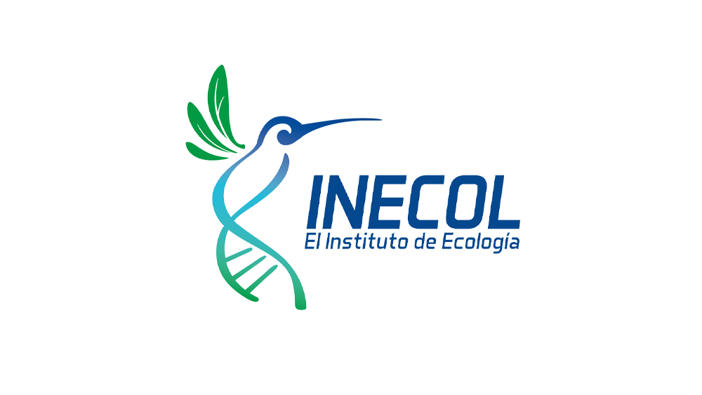 Instituto de Ecologia, Xalapa Mexico