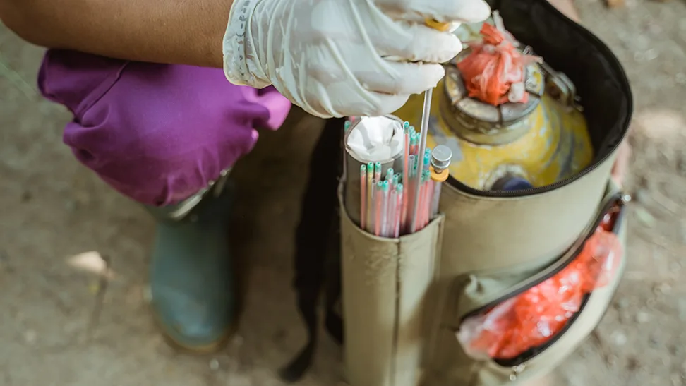 Künstliche Befruchtung