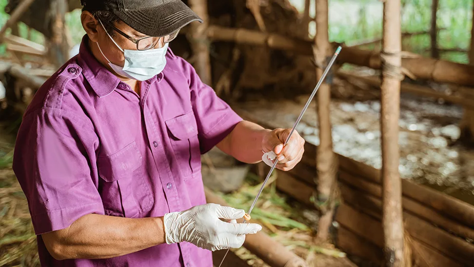 Artificial insemination, bull semen, cow insemination, biostorage, biological storage, dewar, cattle breeding, cryogenic freezer, sample storage, genetics, AI facility, liquid nitrogen, beef cattle, dairy cattle, cattle reproduction, embryos, AI vet