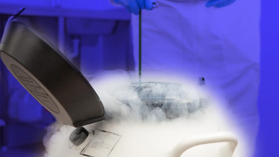 Biologische Lagerung